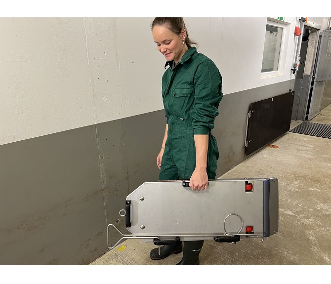 Transporker, platforma transport carcase suine.